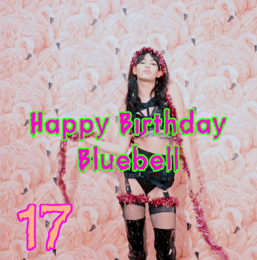 17.gif