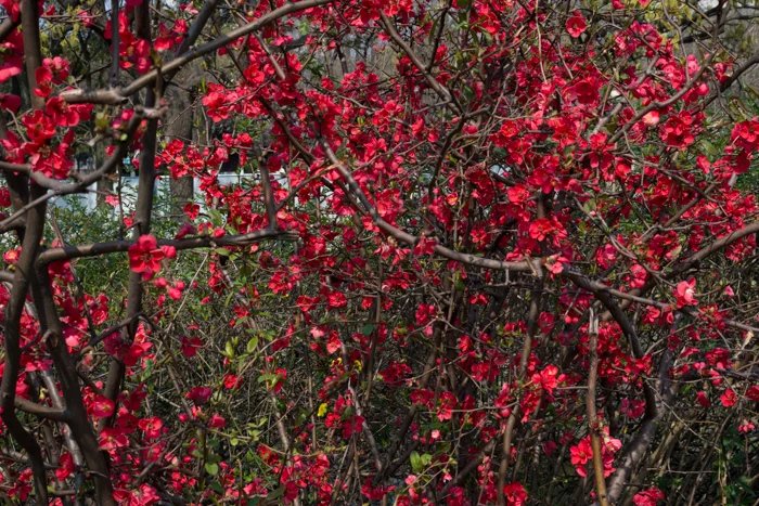 DSC_7026.jpg