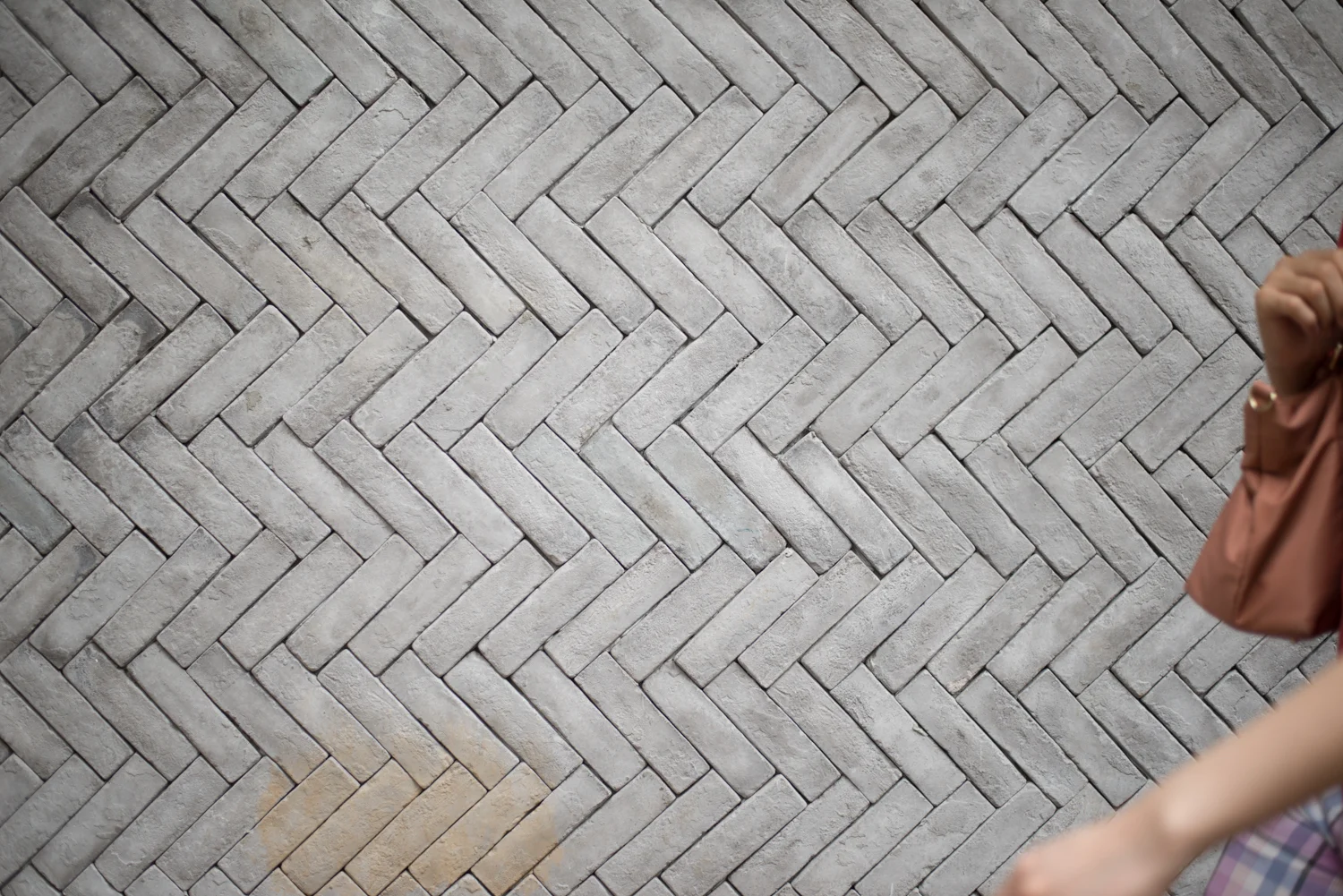 DSC_8553.jpg