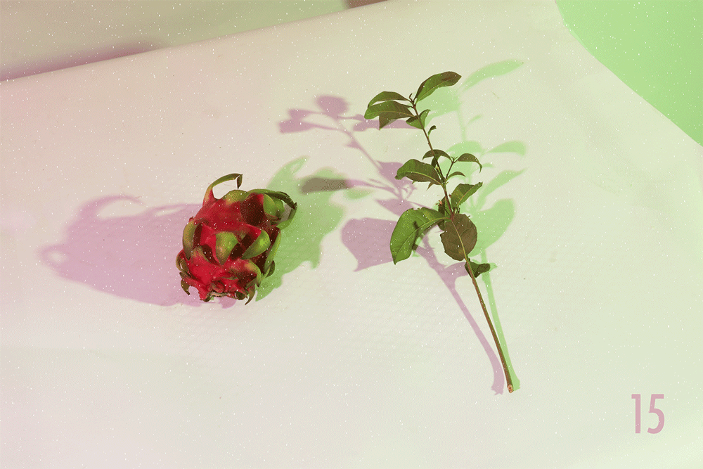 15.gif