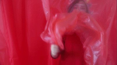 25d.gif