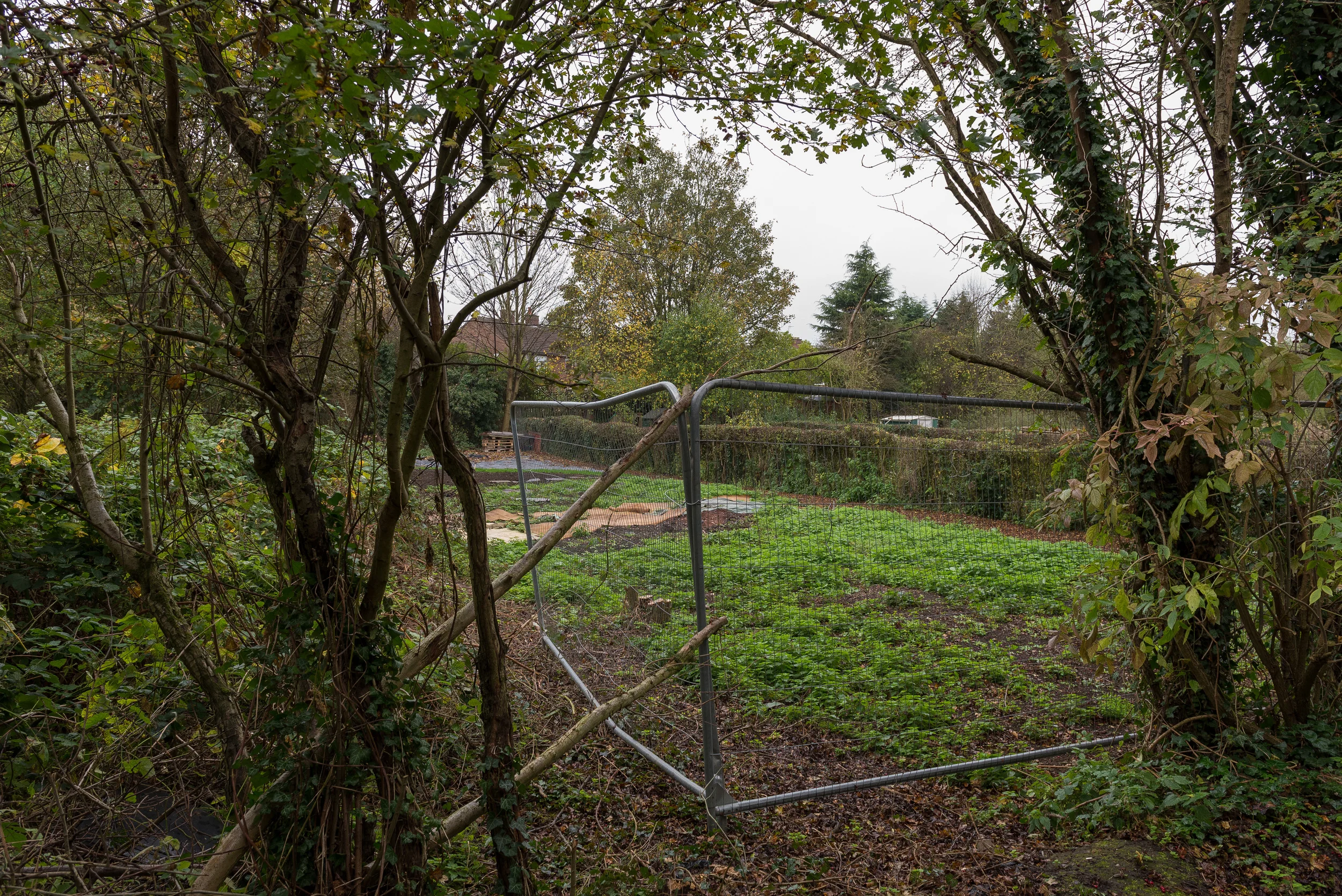 Landscape Photographer England