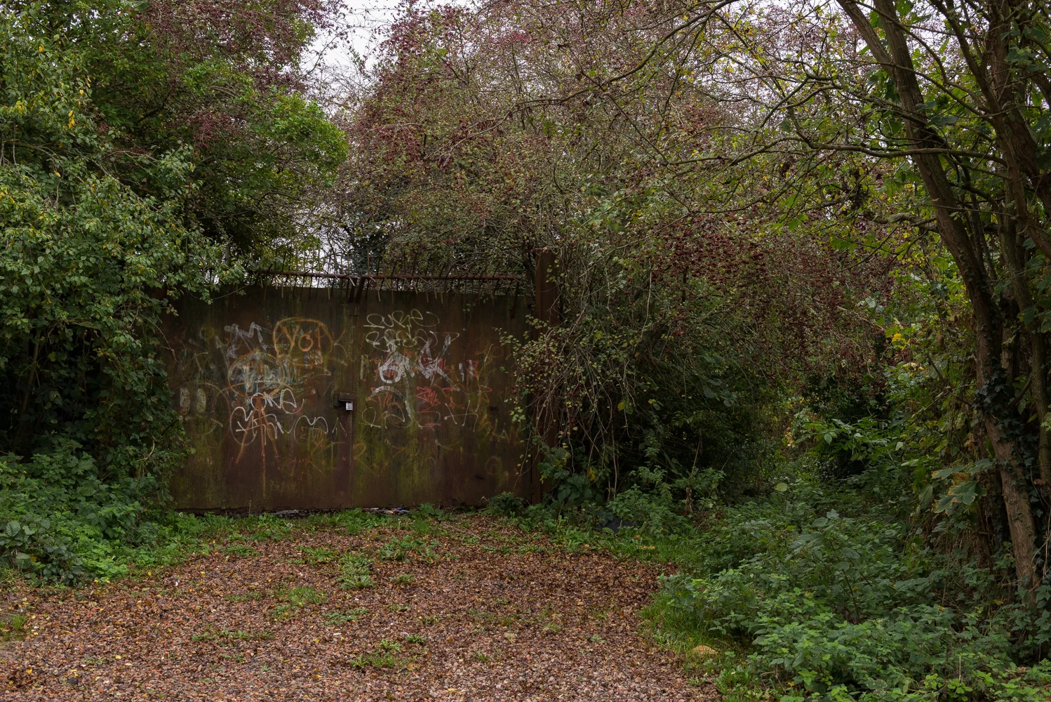 Landscape Photographer England