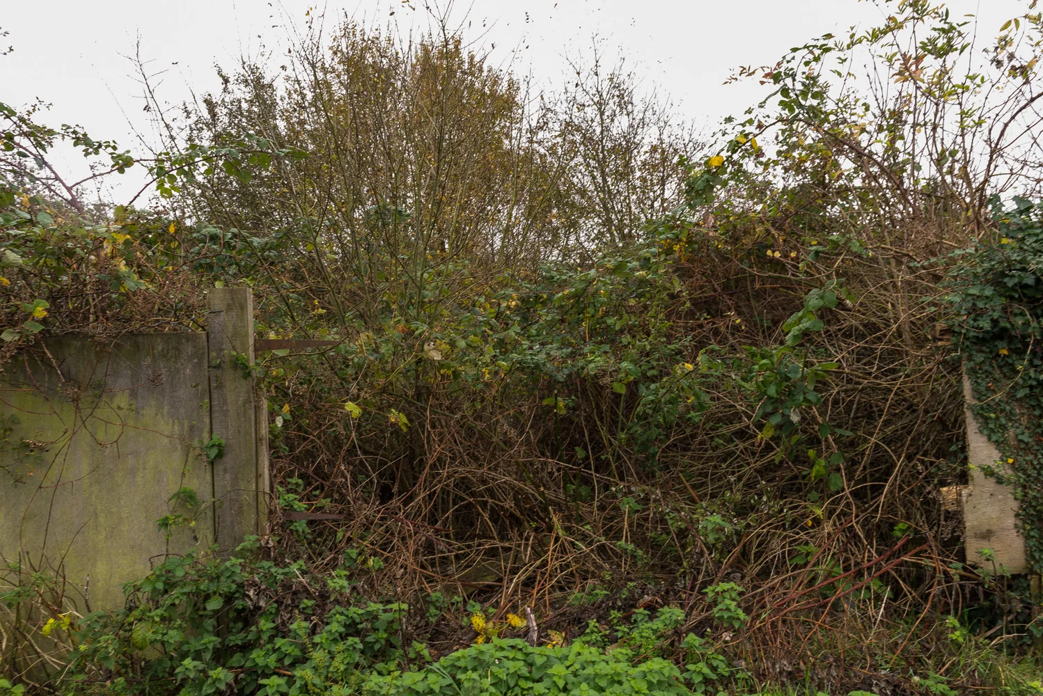 Landscape Photographer England