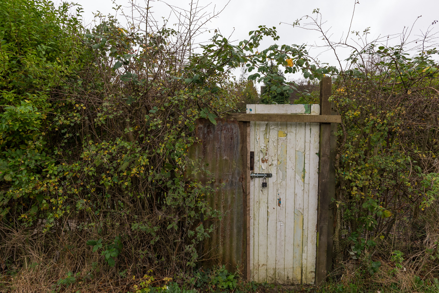 Landscape Photographer England