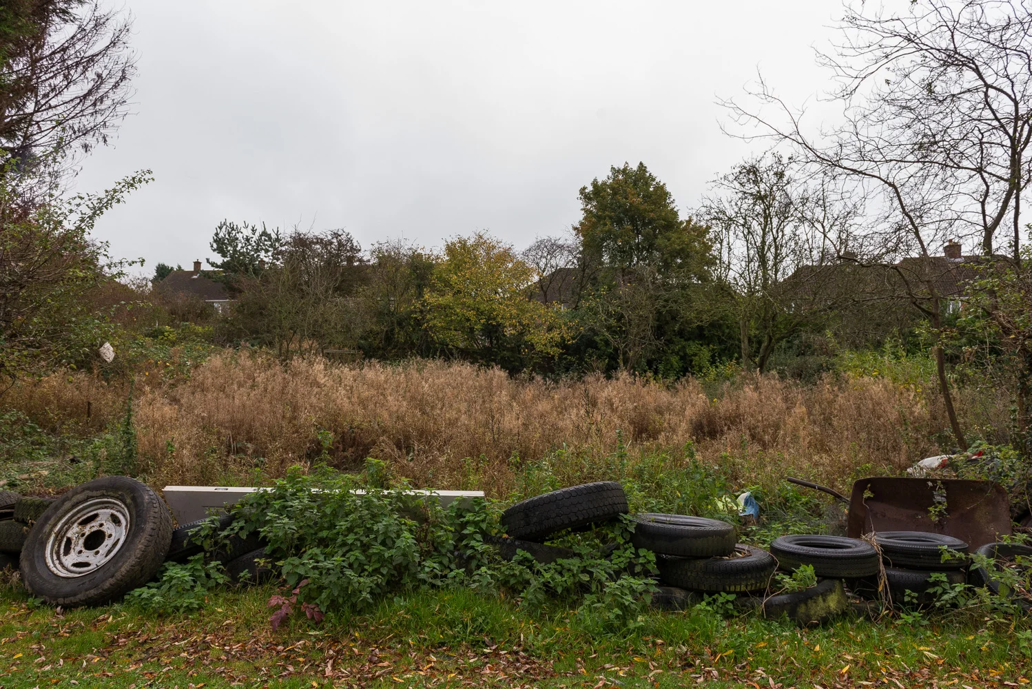 Landscape Photographer England