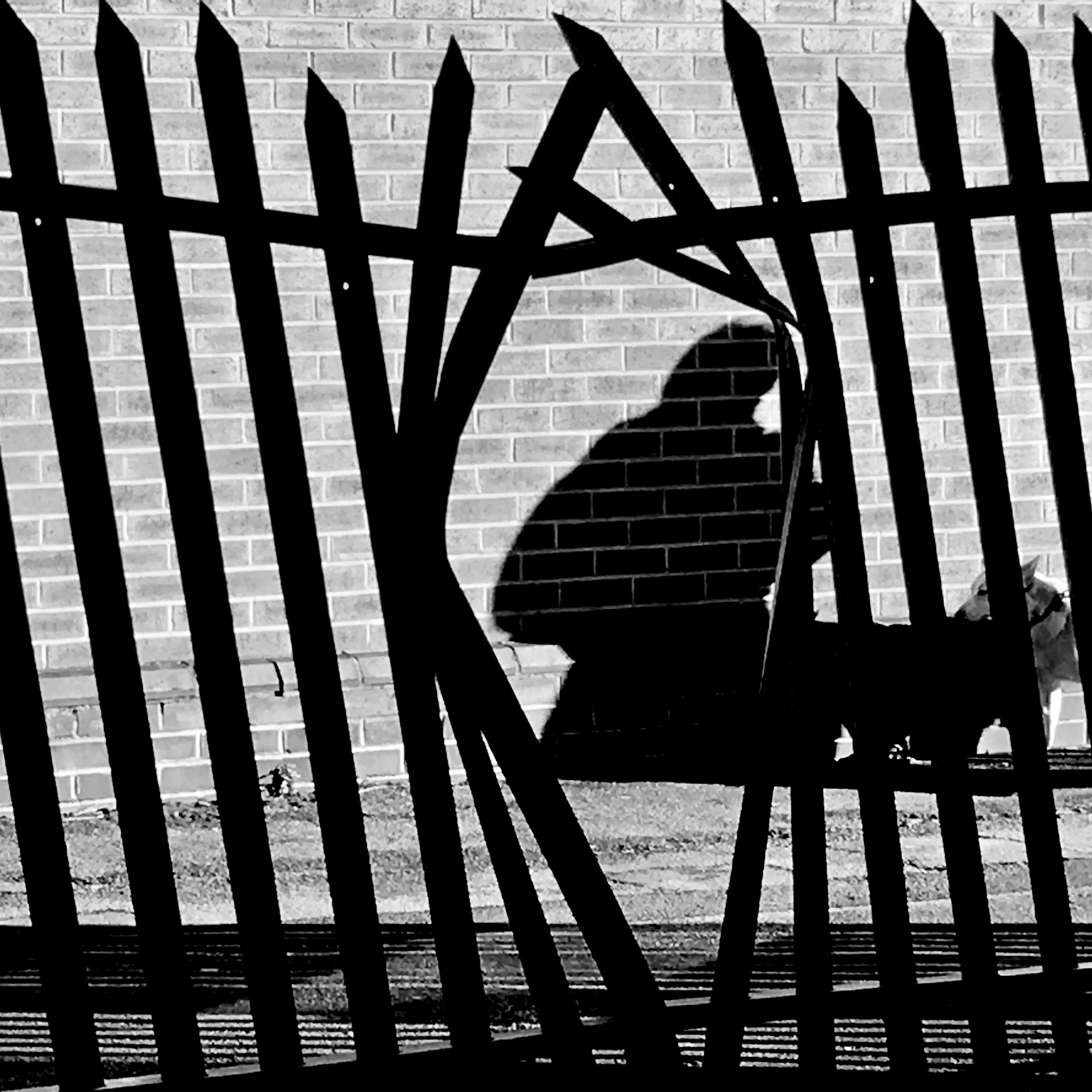 Strong Shadow