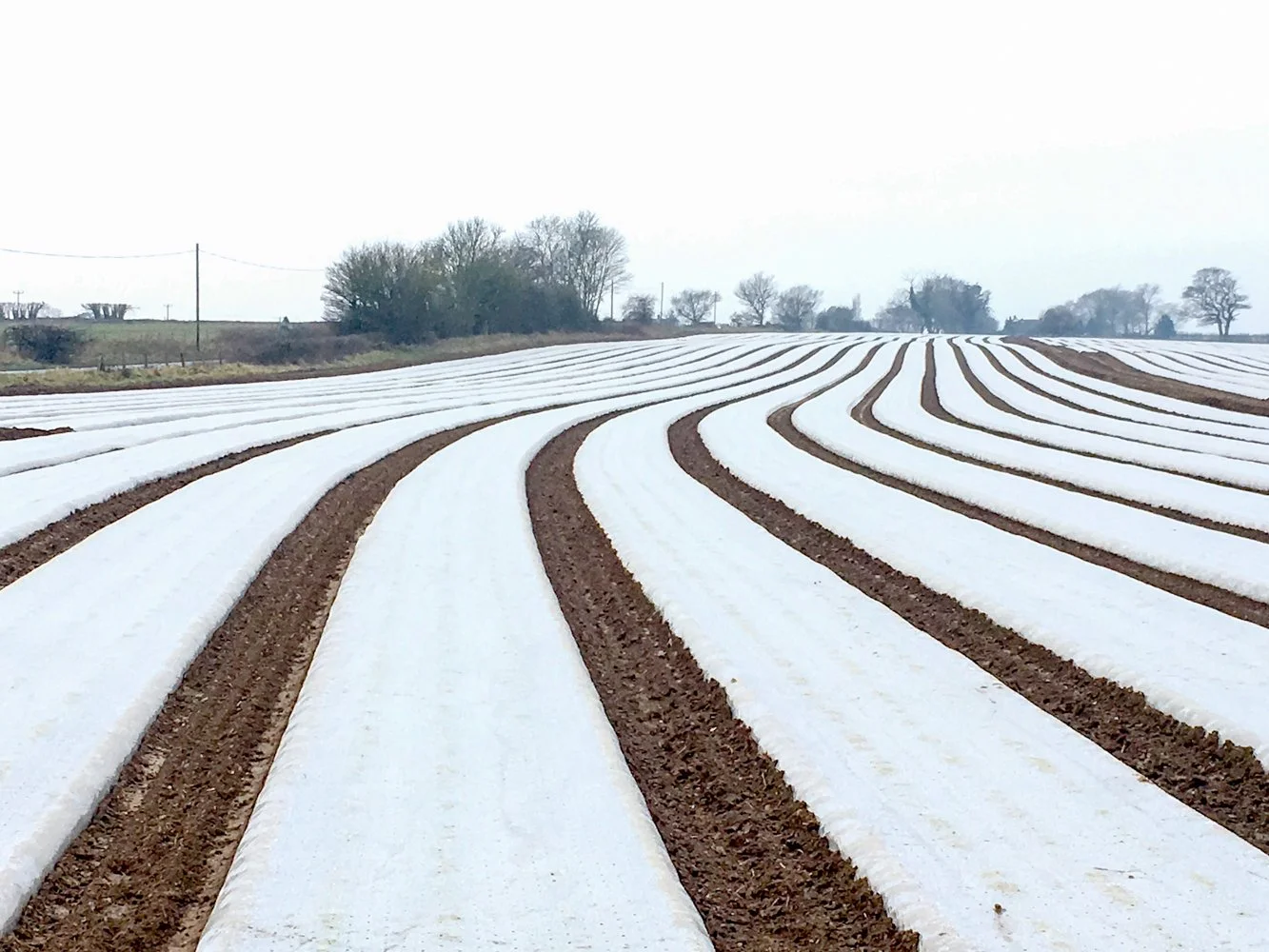 The Quirky English Countryside 