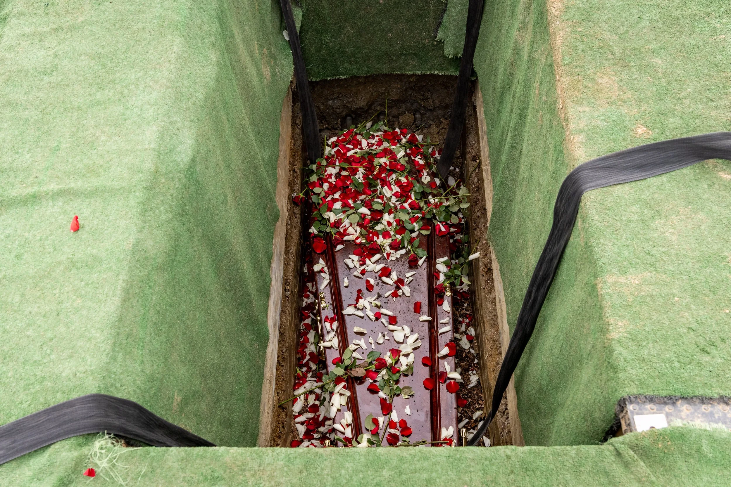 Looking down into an open grave where a coffin rests covered in scattered red and white rose petals, funeral documentary photography by Paul Hands