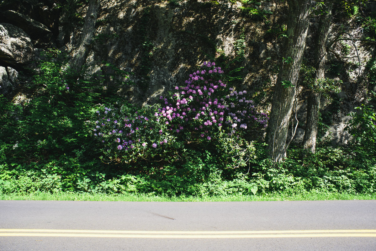 1405_ARC_000408.jpg