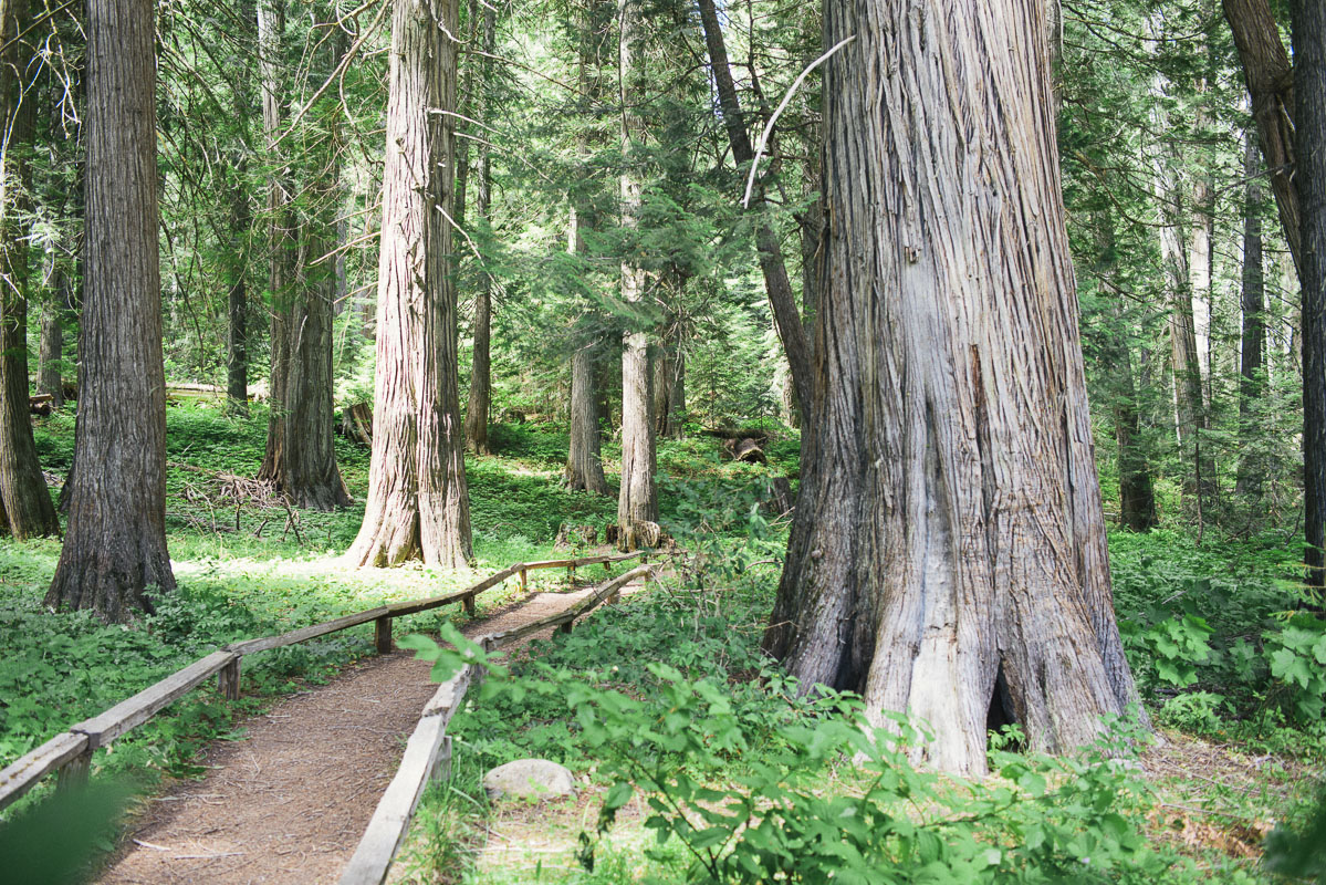 1406_ARC_002442.jpg