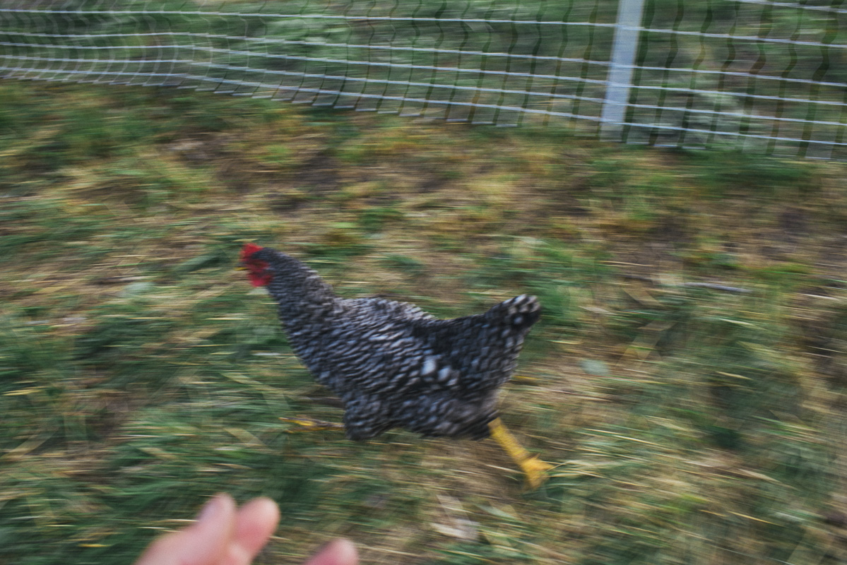 1406_ARC_002703.jpg