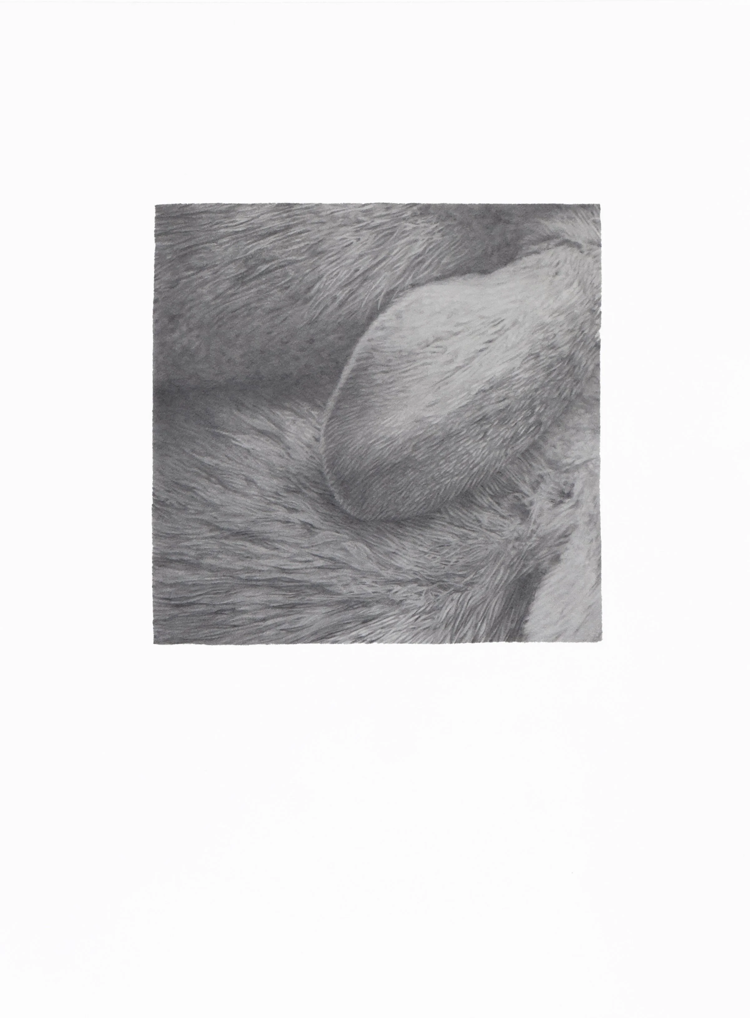  kindred | 2023 | graphite on paper | 9"x12" 