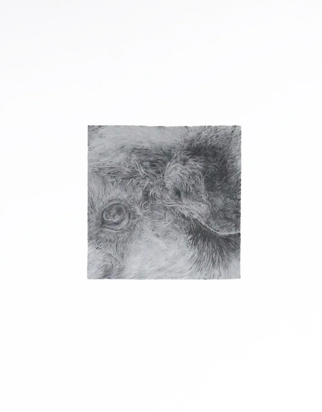  untitled | 2019 | graphite on paper | 11"x14" 