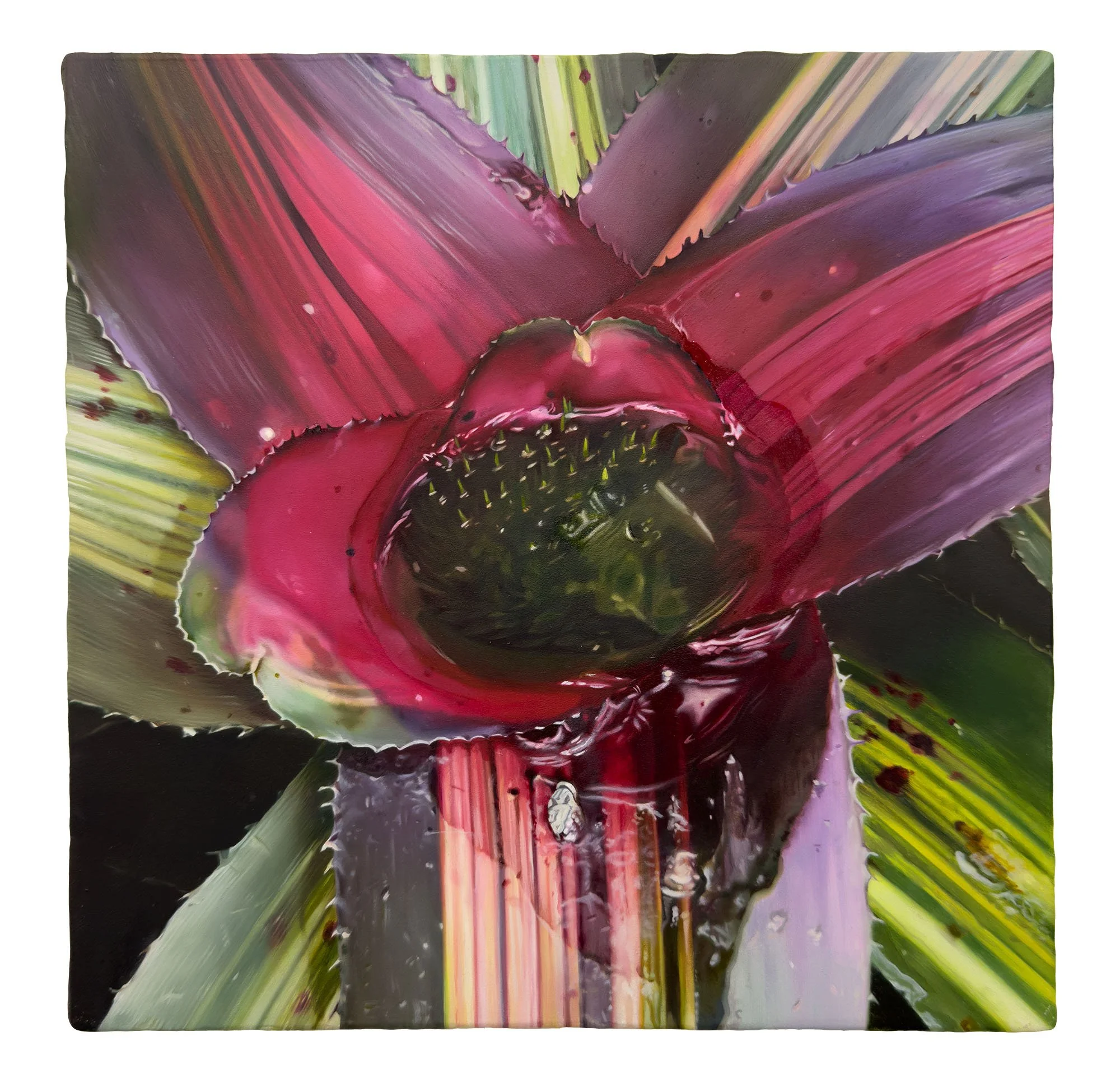  Hurry Up and Wait | 2025 | oil on linen on panel | 10(1/4)"x10(1/4)" 