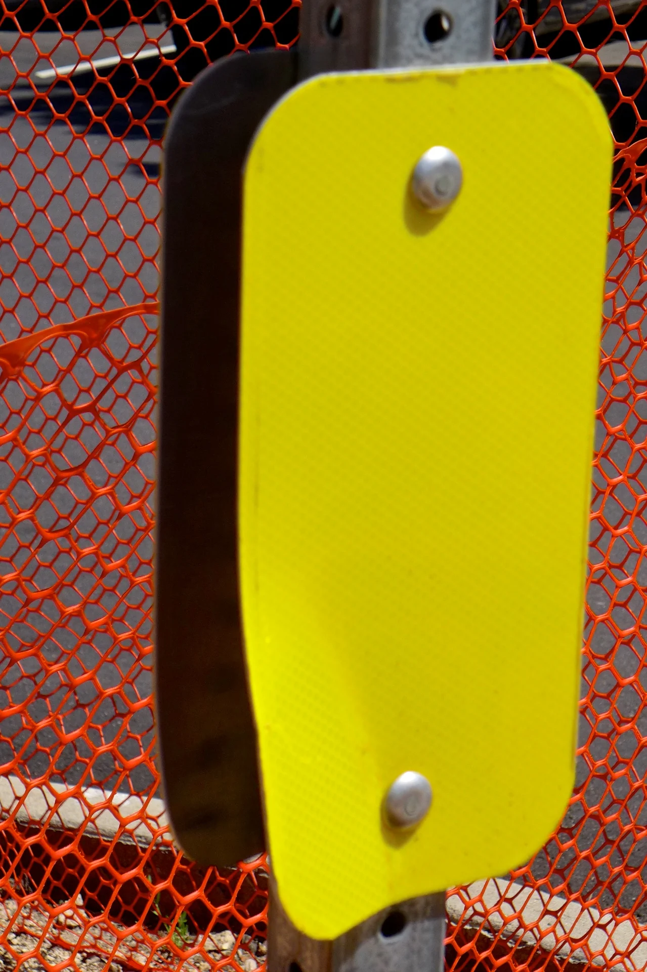 Color 6.jpg