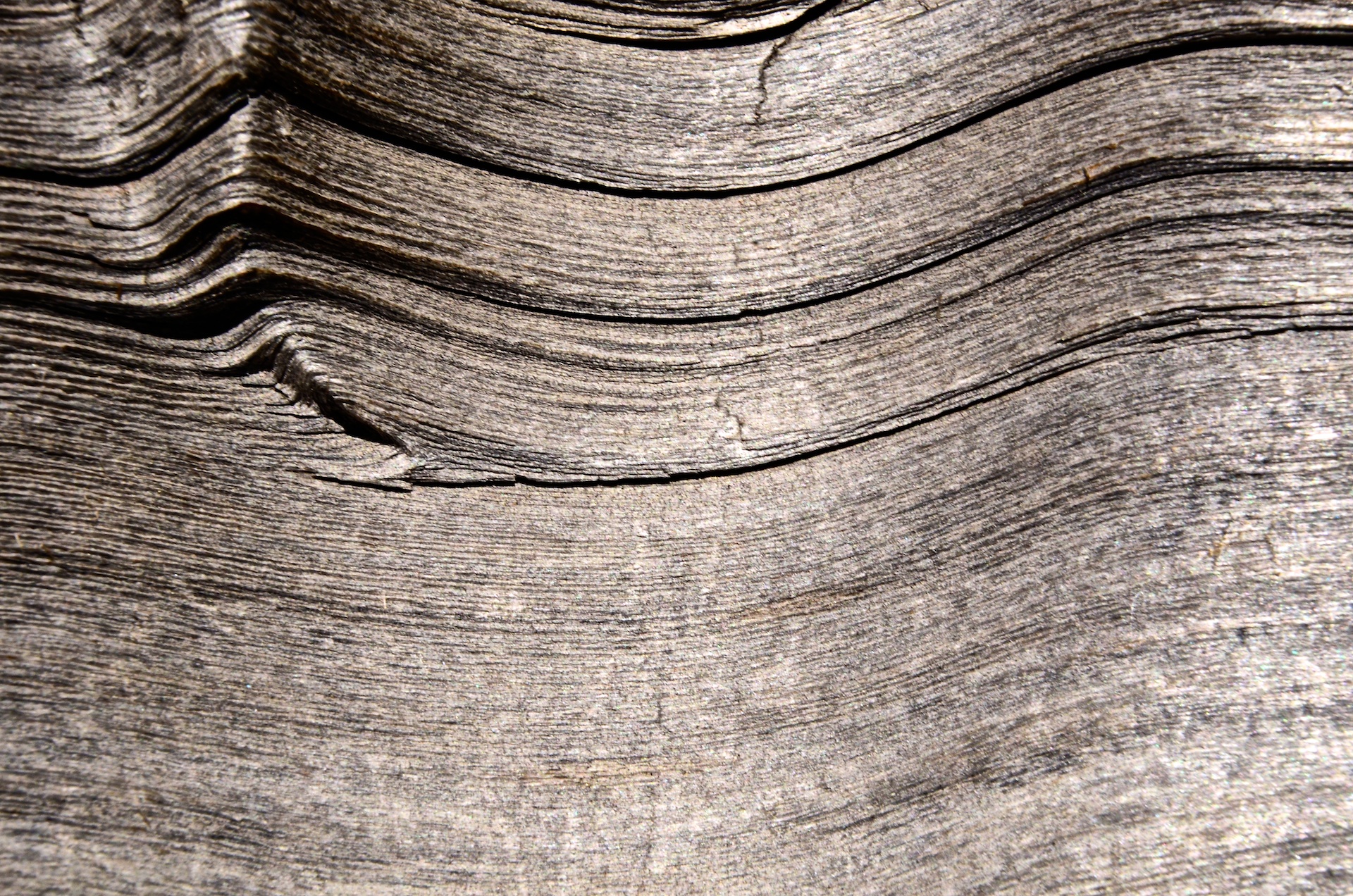 Texture 5.jpg