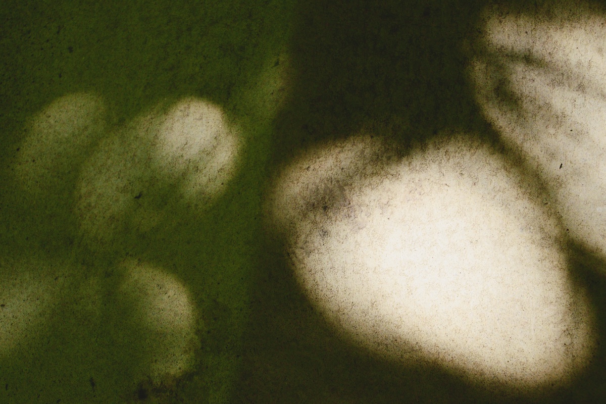 Light 5.jpg
