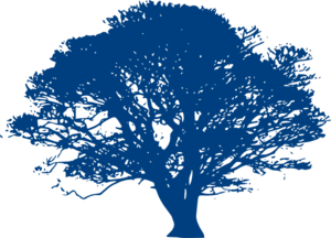 tree.jpg