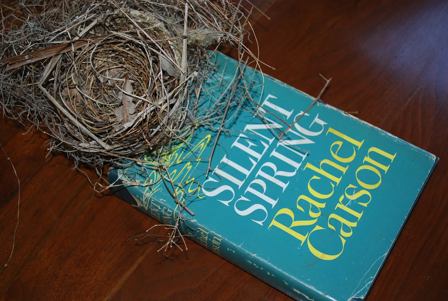 What is OUR Silent Spring?