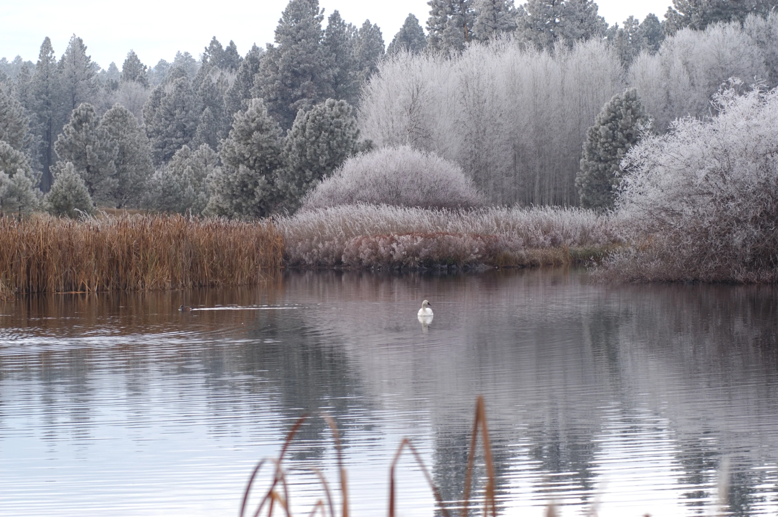 DSC_0023.jpg