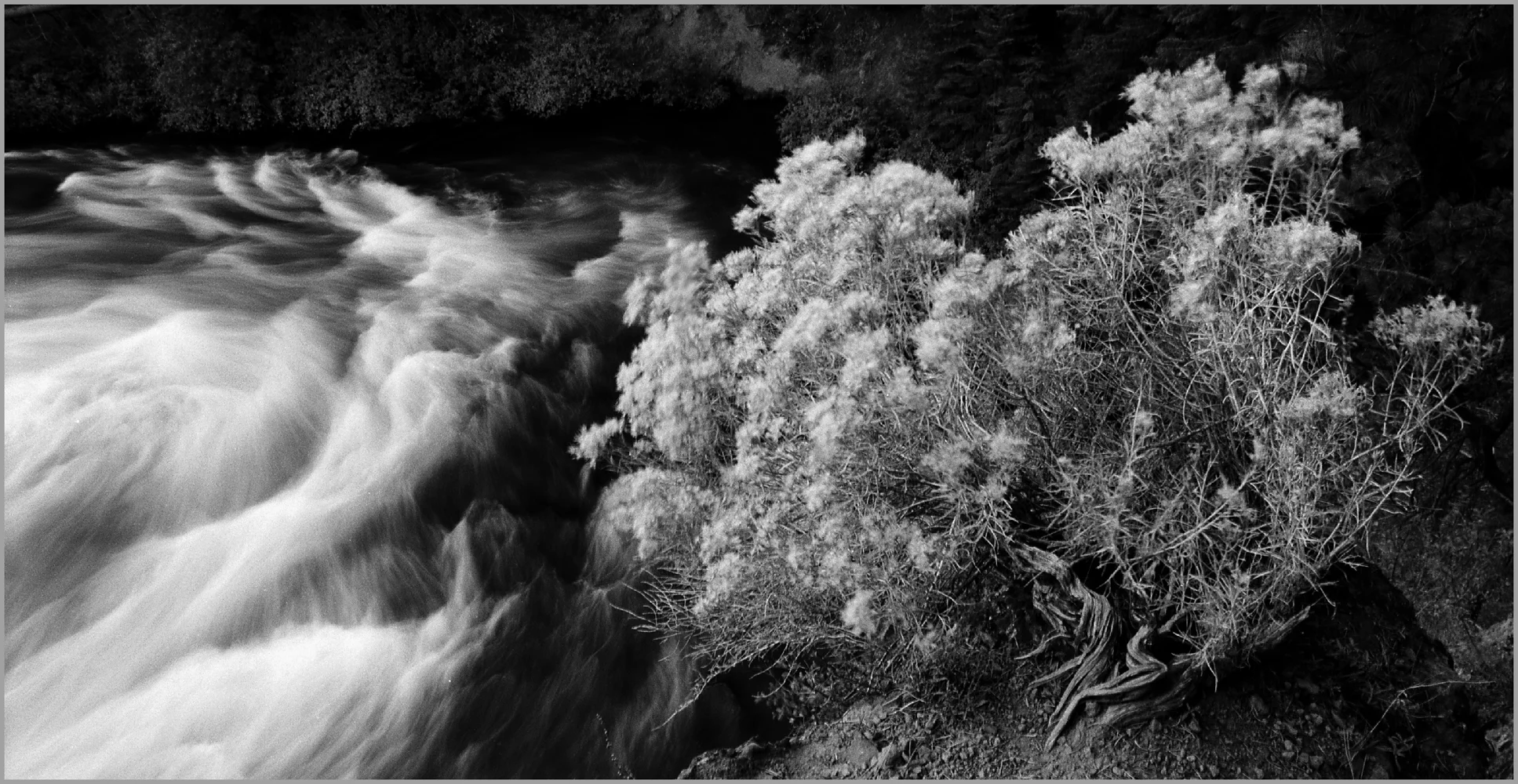river.jpg