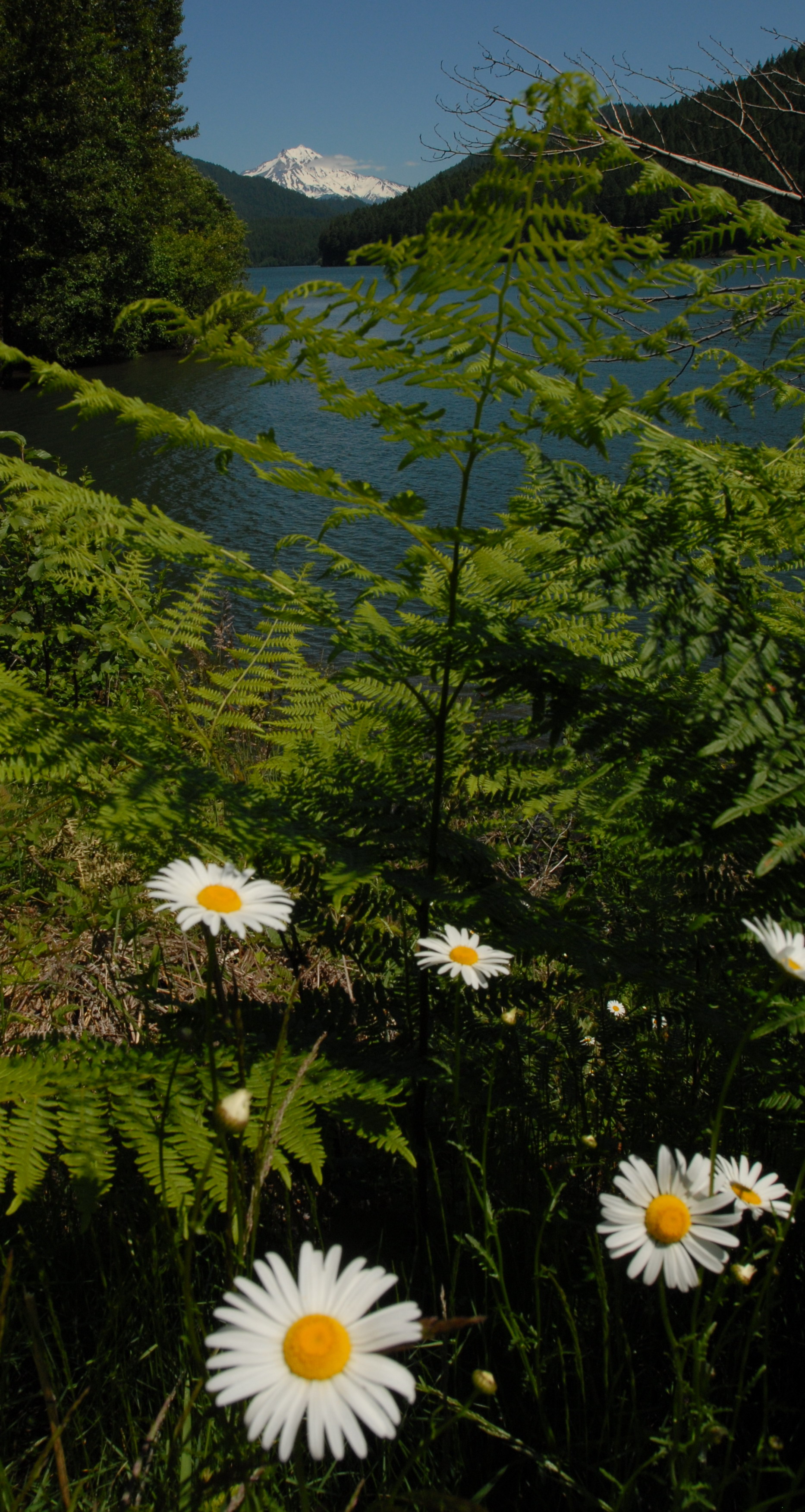 DSC_7555crop2.jpg