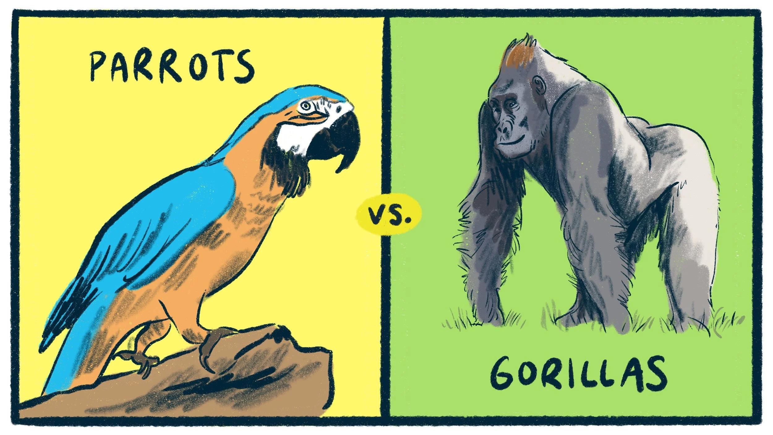 Parrots_Vs._Gorillas.jpg