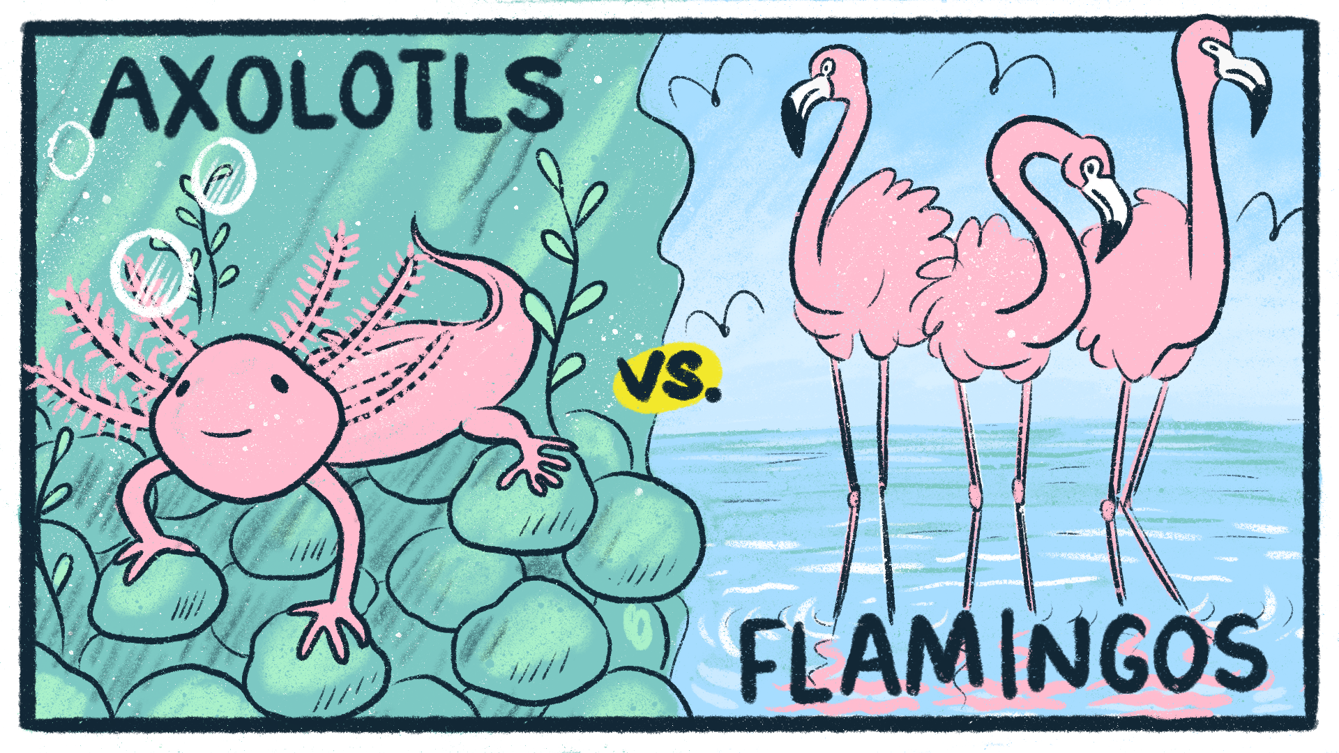 Untitled_Artwork (1).png