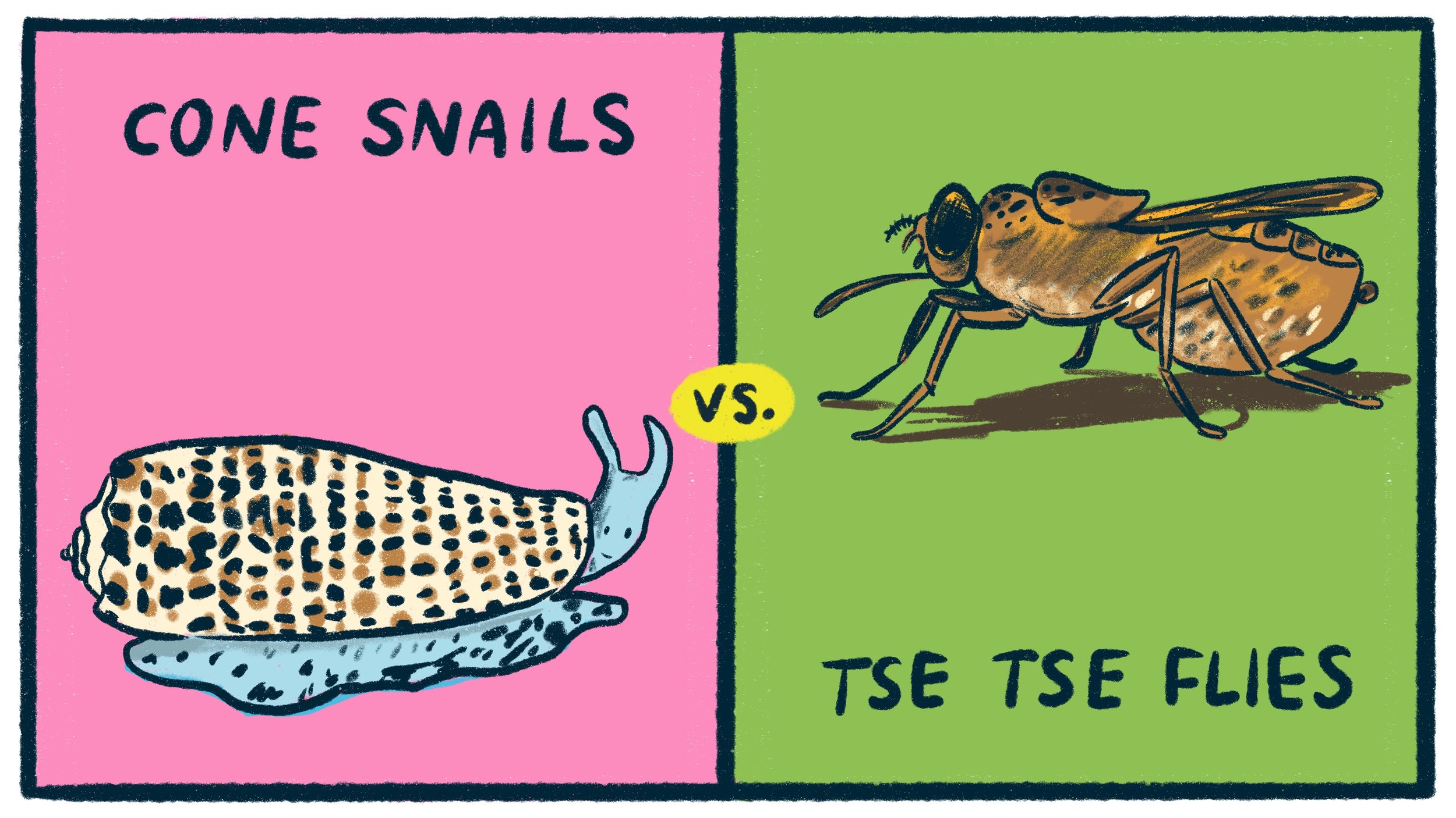 Untitled_Artwork (11).jpg