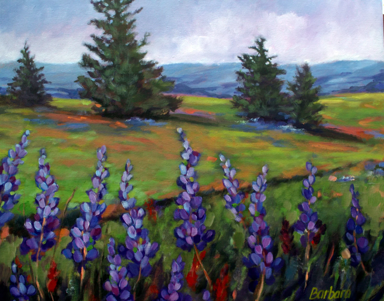 Lupine at Catherine Creek - sold