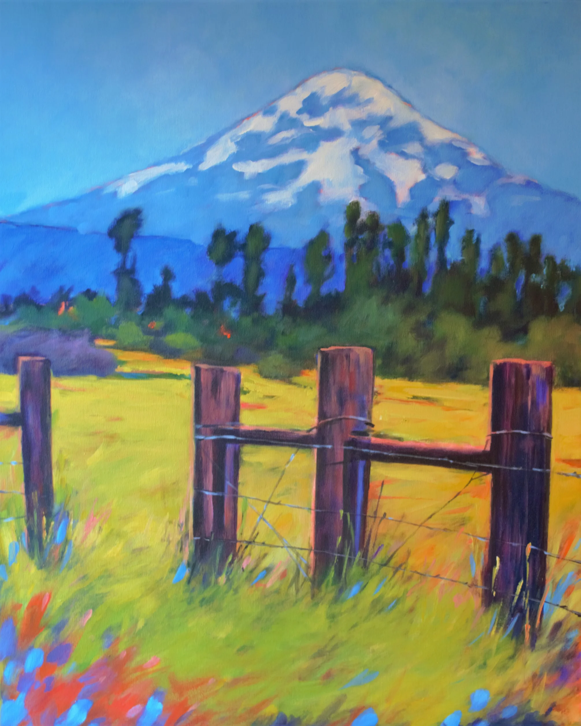 Mt. Adams and Fence - $950