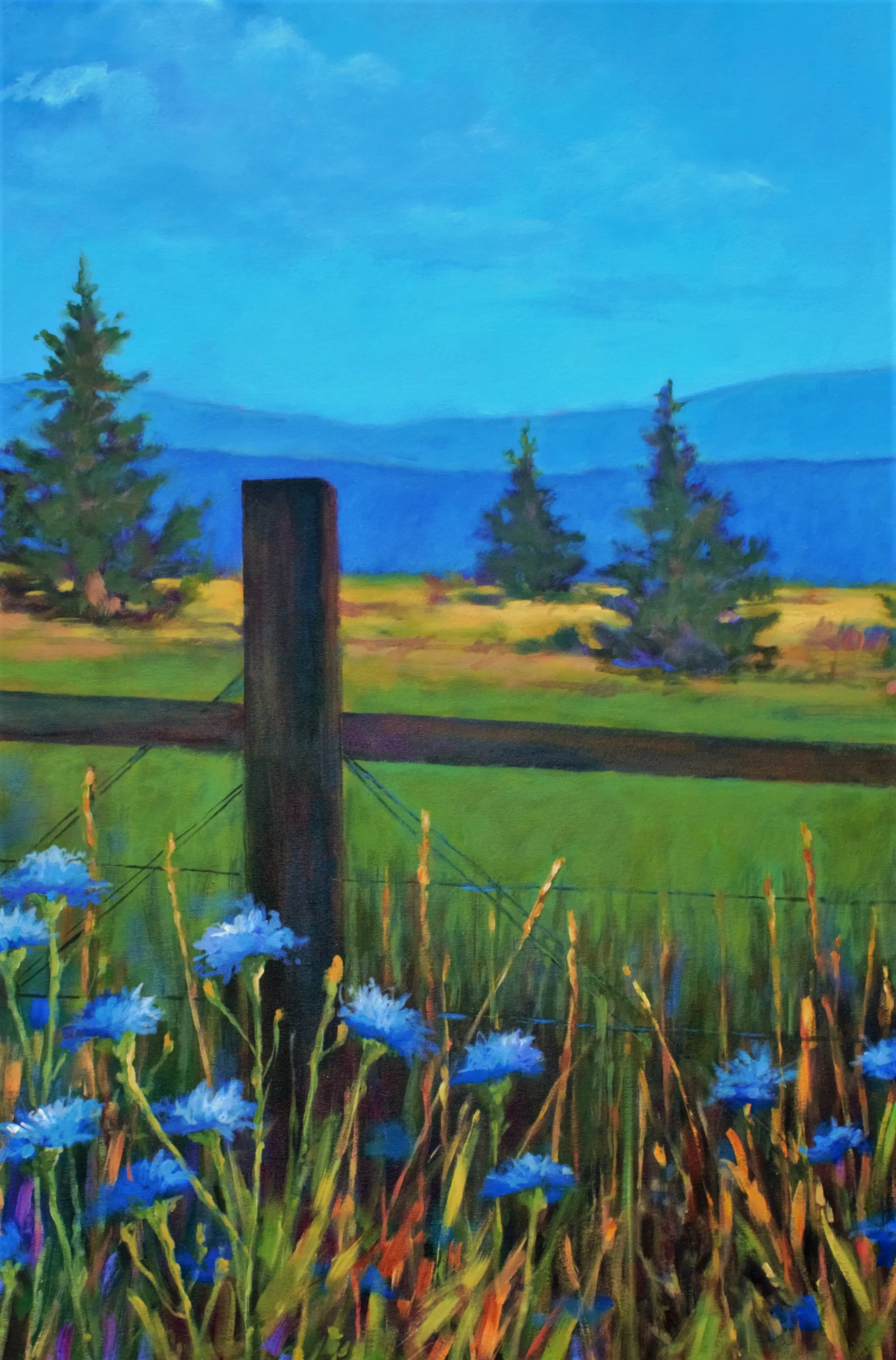 Trout Lake Morning - Sold