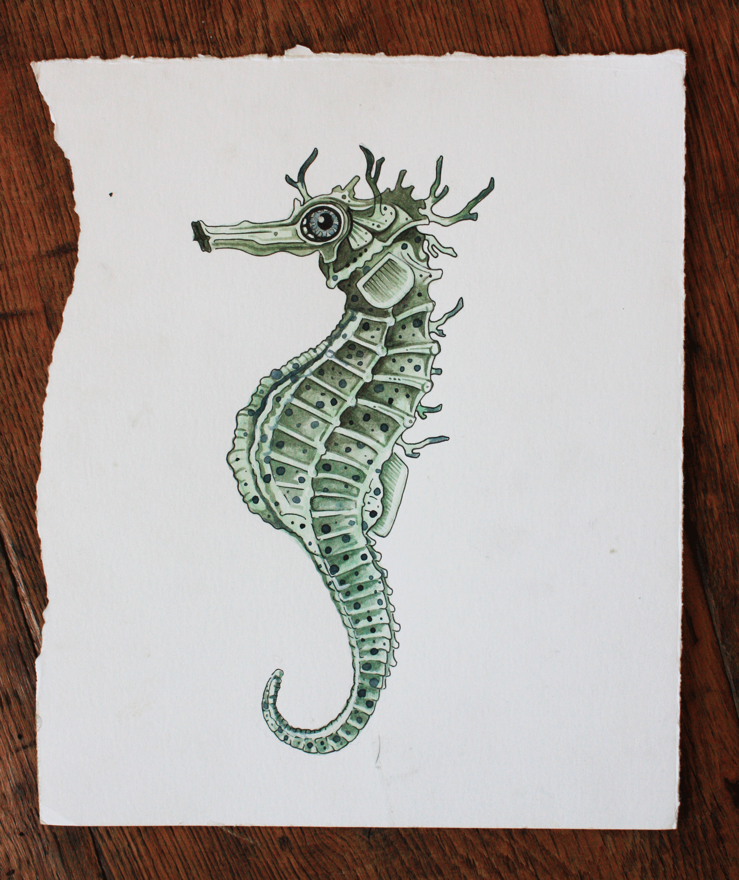 seahorse.gif