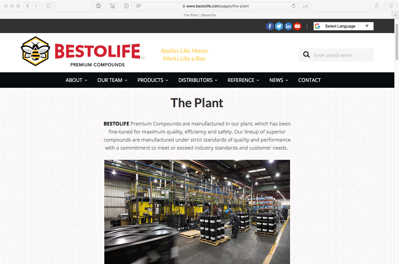 Bestolife Website_5.png