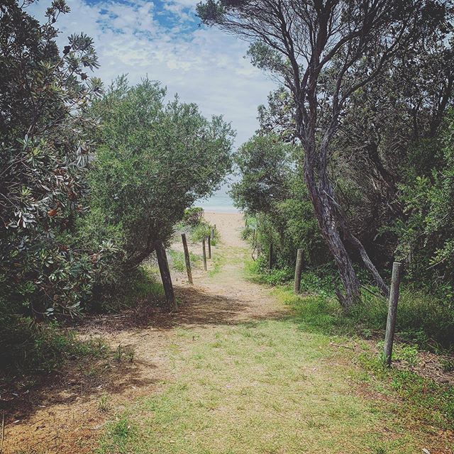 Those #beach walks 
#nature #landscape #summer