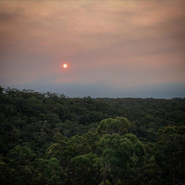 #bushfiresaustralia #landscape #redsun