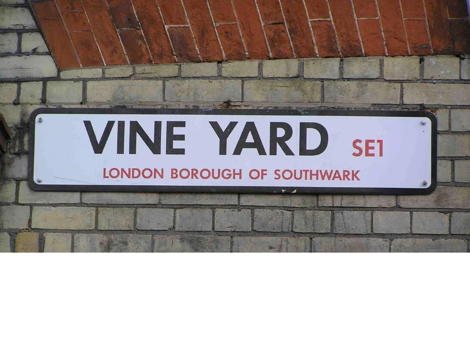 Showroom - Vineyard P1040017.jpg