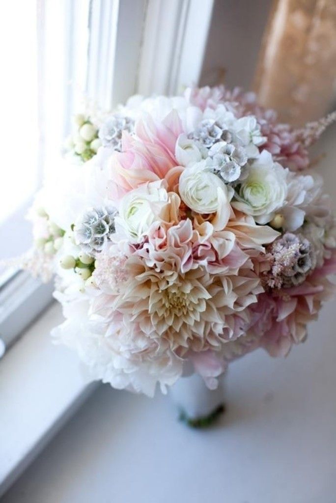 Dahlia