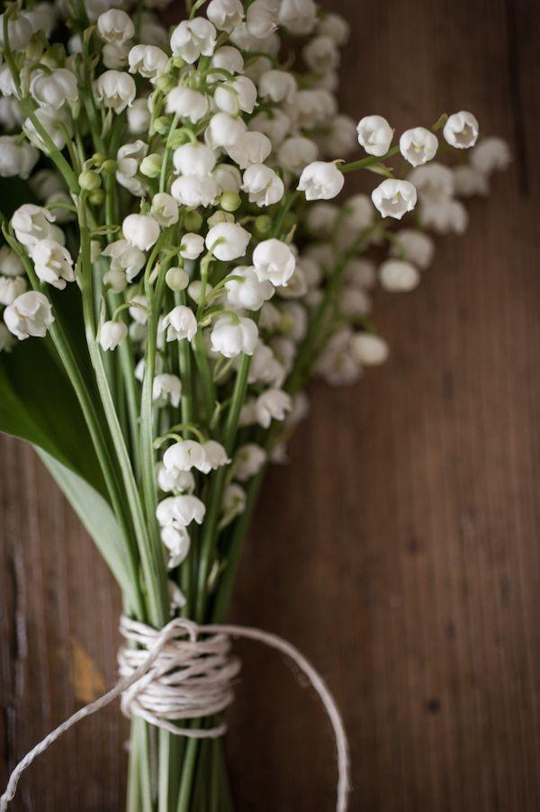 Lily of the Valley