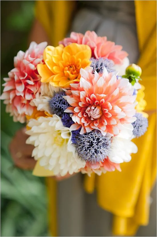The Flower Guide