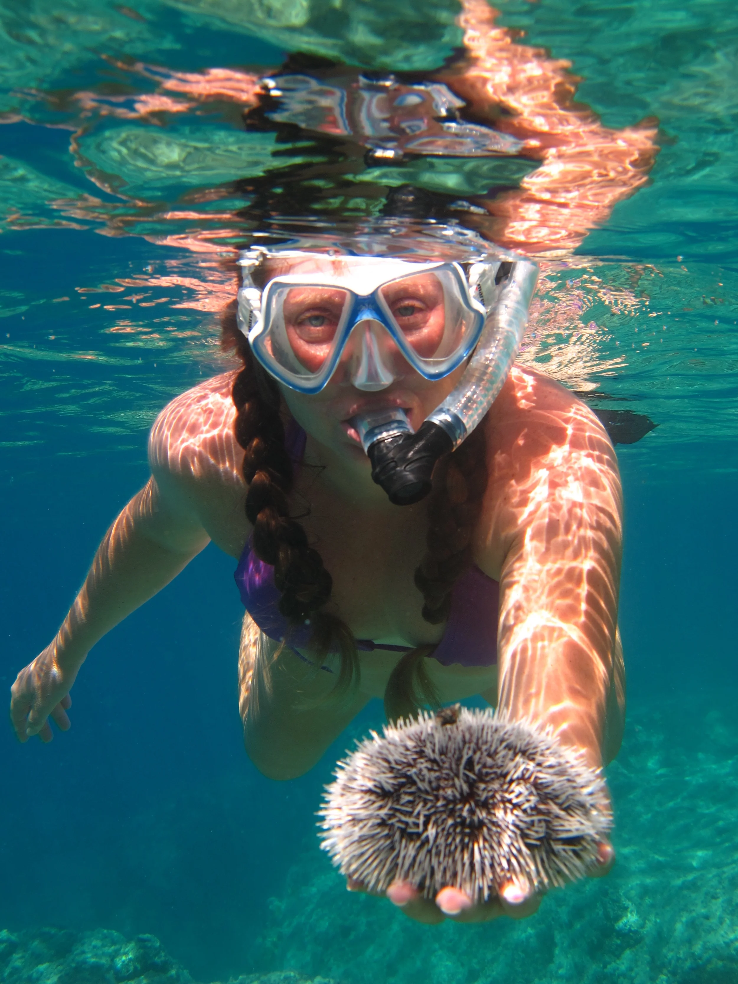 Snorkeling is just as much fun as diving.