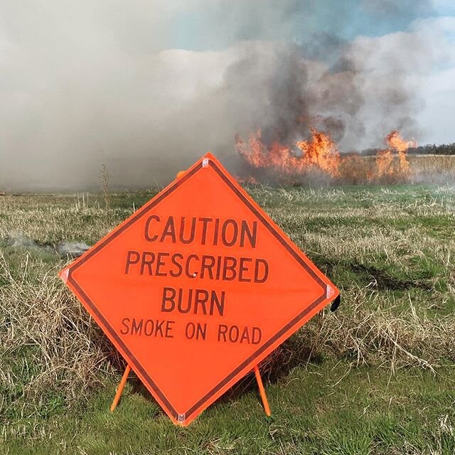 Looking to the horizon in the afternoons during these mild spring days, smoke plums can be seen rising up, marking areas that are resetting the clock. Nature doesn&rsquo;t stop, so neither can the management!