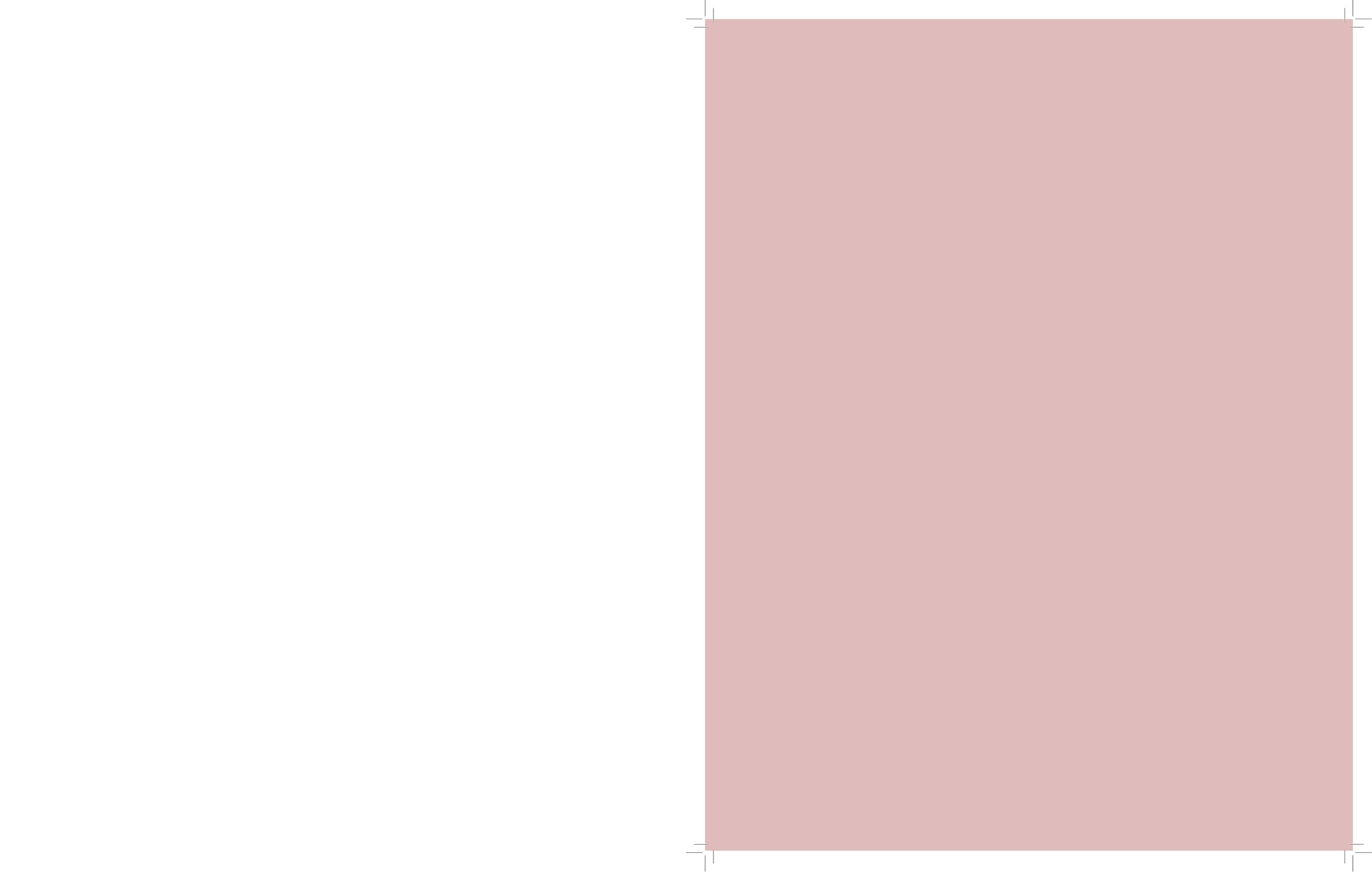 sect_digital_portfolio_layout-02.png