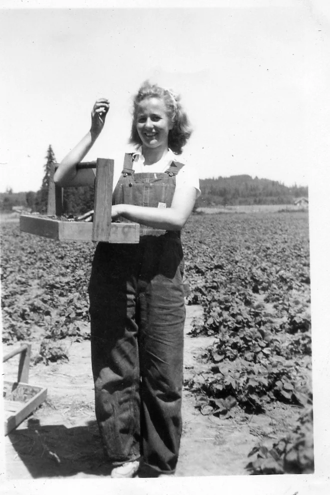  Dixie's mother, Julienne, in Winlock, picking strawberries. June 1944