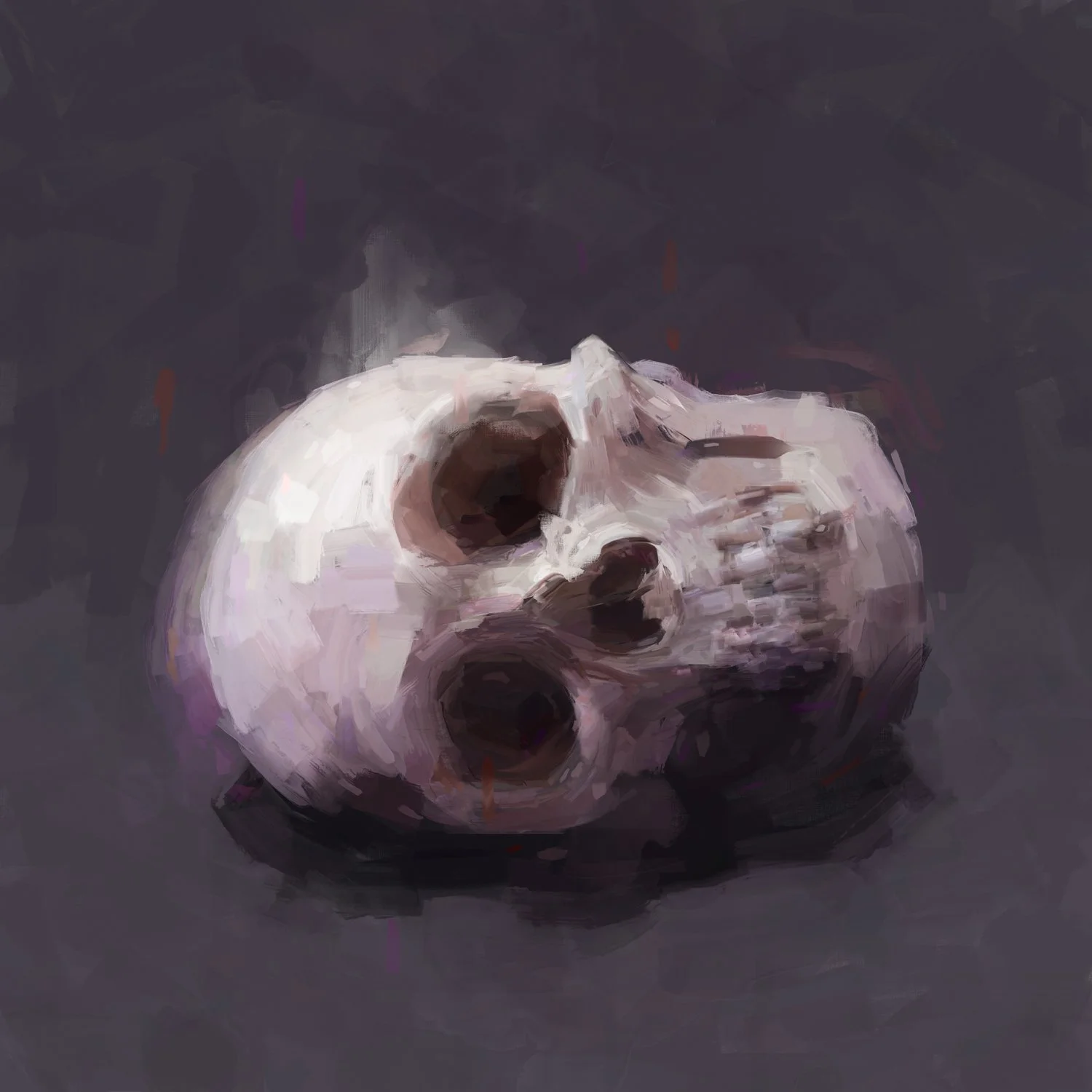 Skull-by-Andrew-Binder.jpg