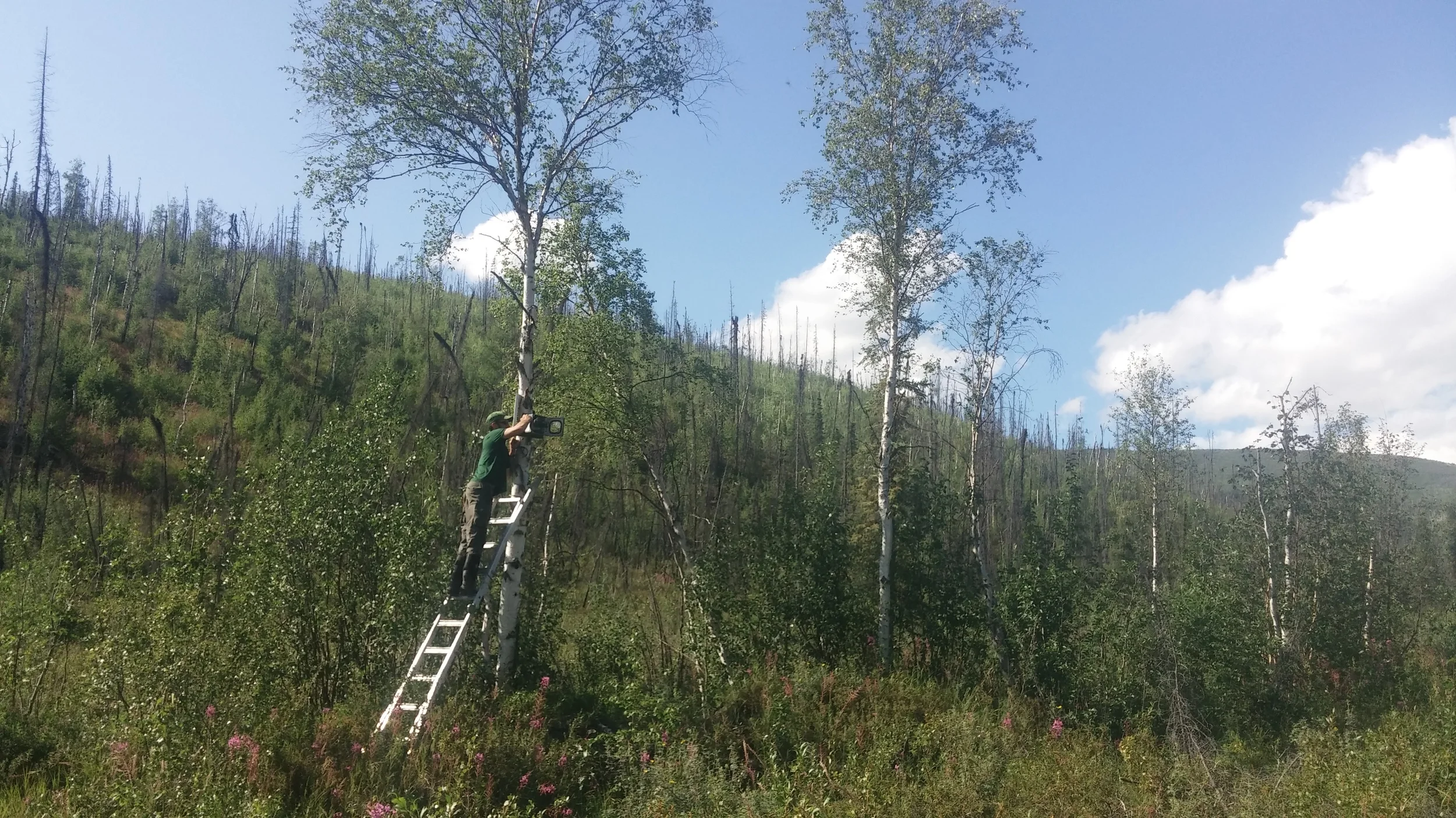 Season 7 Building Alaska Grouse Creek