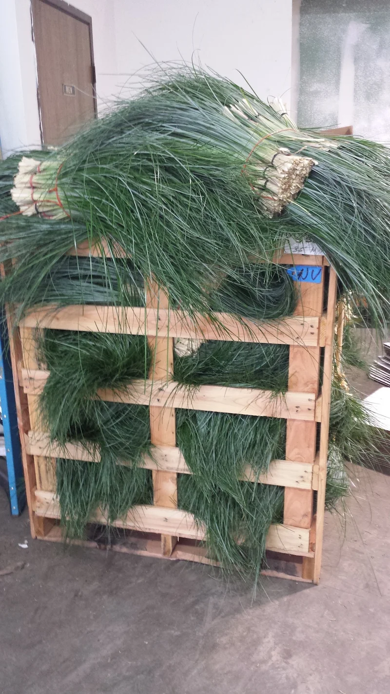 20131104_130515.jpg