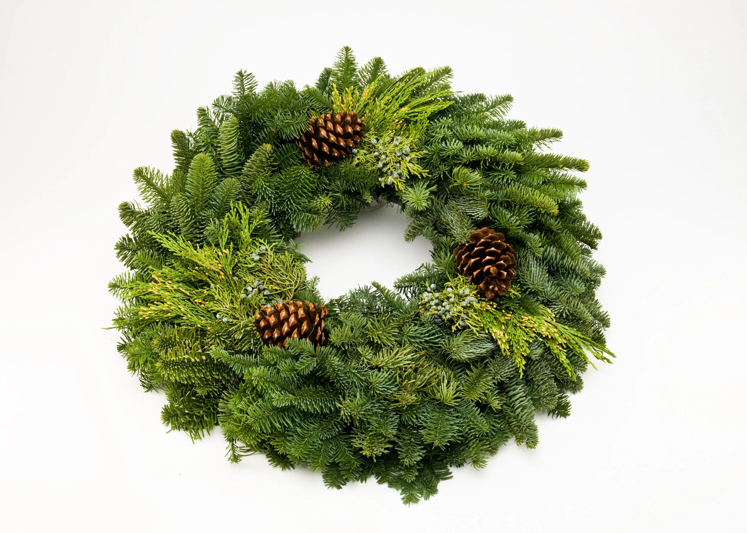 Holiday Greens — Pacific Tradeworks