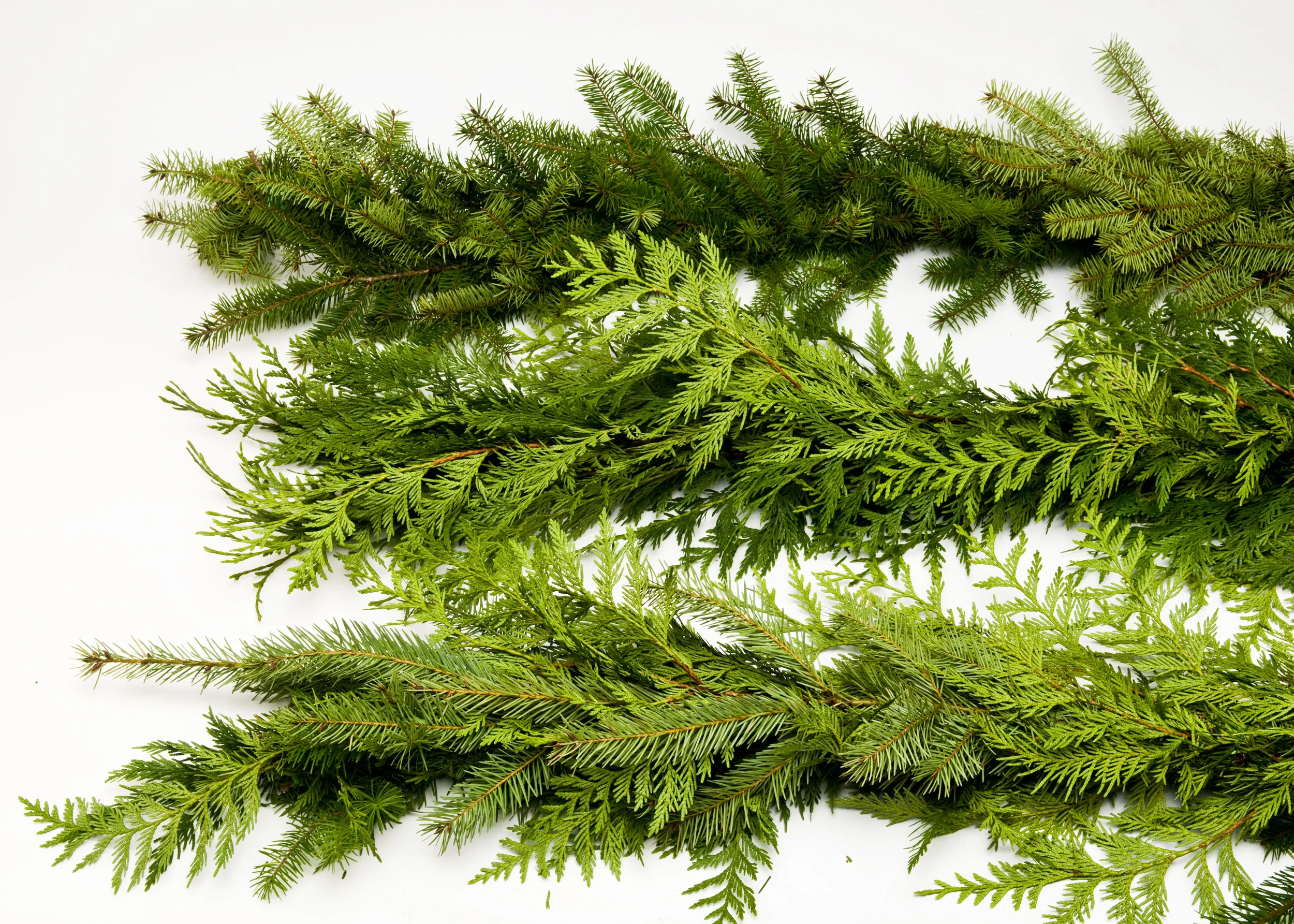 Cedar Garland